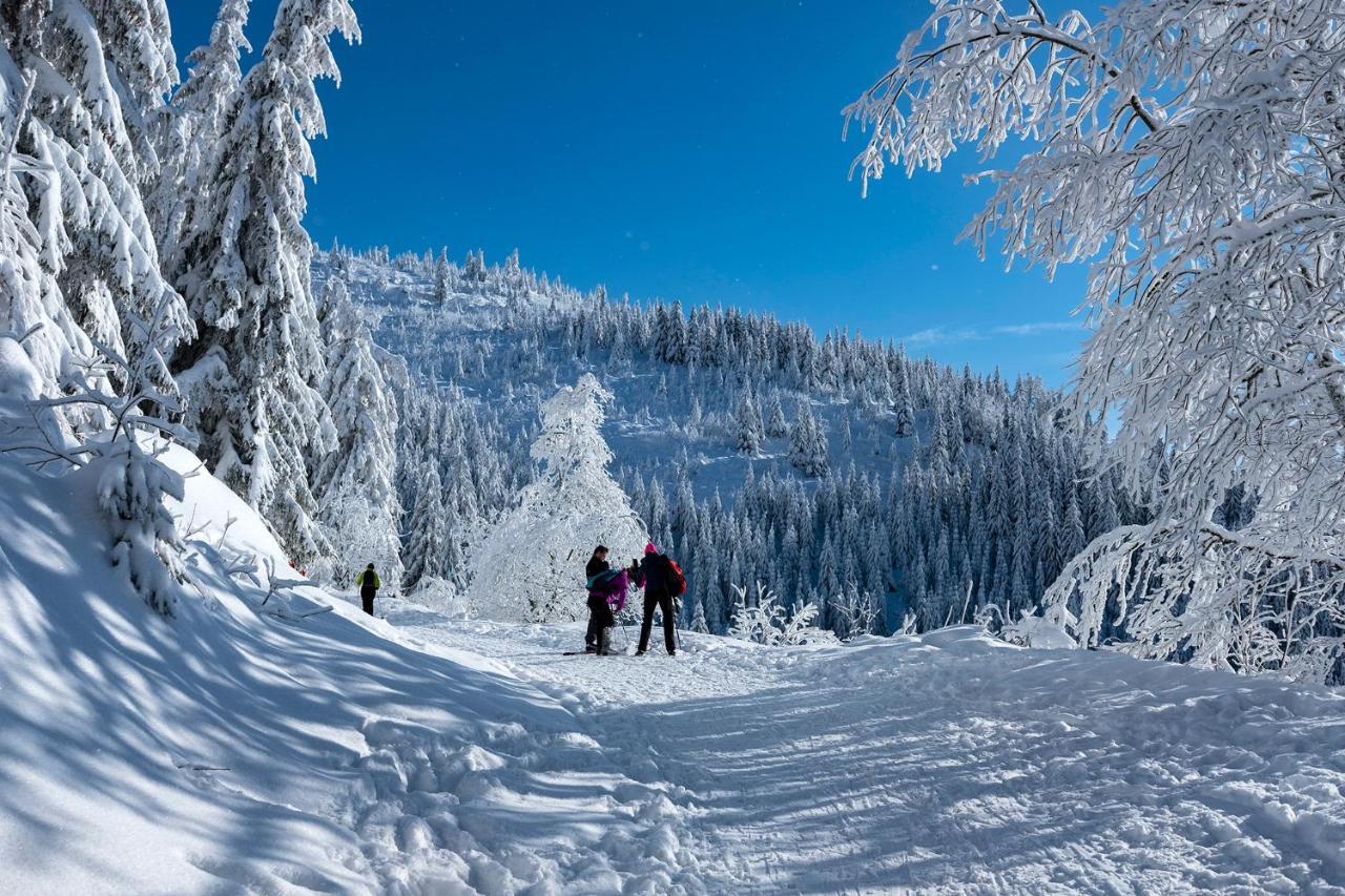 Stara Zvonica Hotel Nizna Boca Bagian luar foto